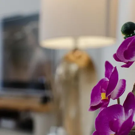 Casa No Sol * Vale Formoso (Faro)