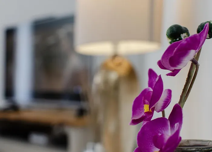 Casa No Sol * Loulé